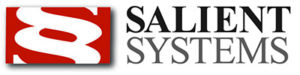Salient Systems Logo