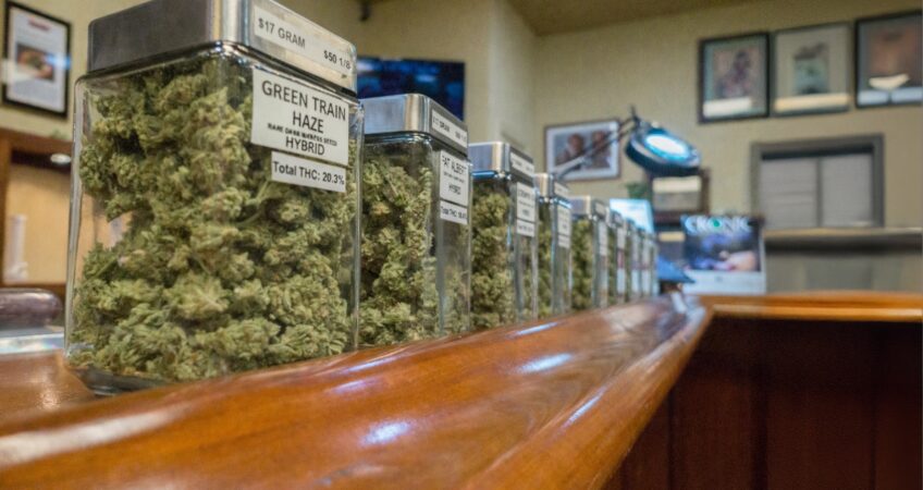 Row of glass jars with cannabis buds on a wooden counter in a shop, labeled Green Train Haze Hybrid and other strains behind a curved bar.