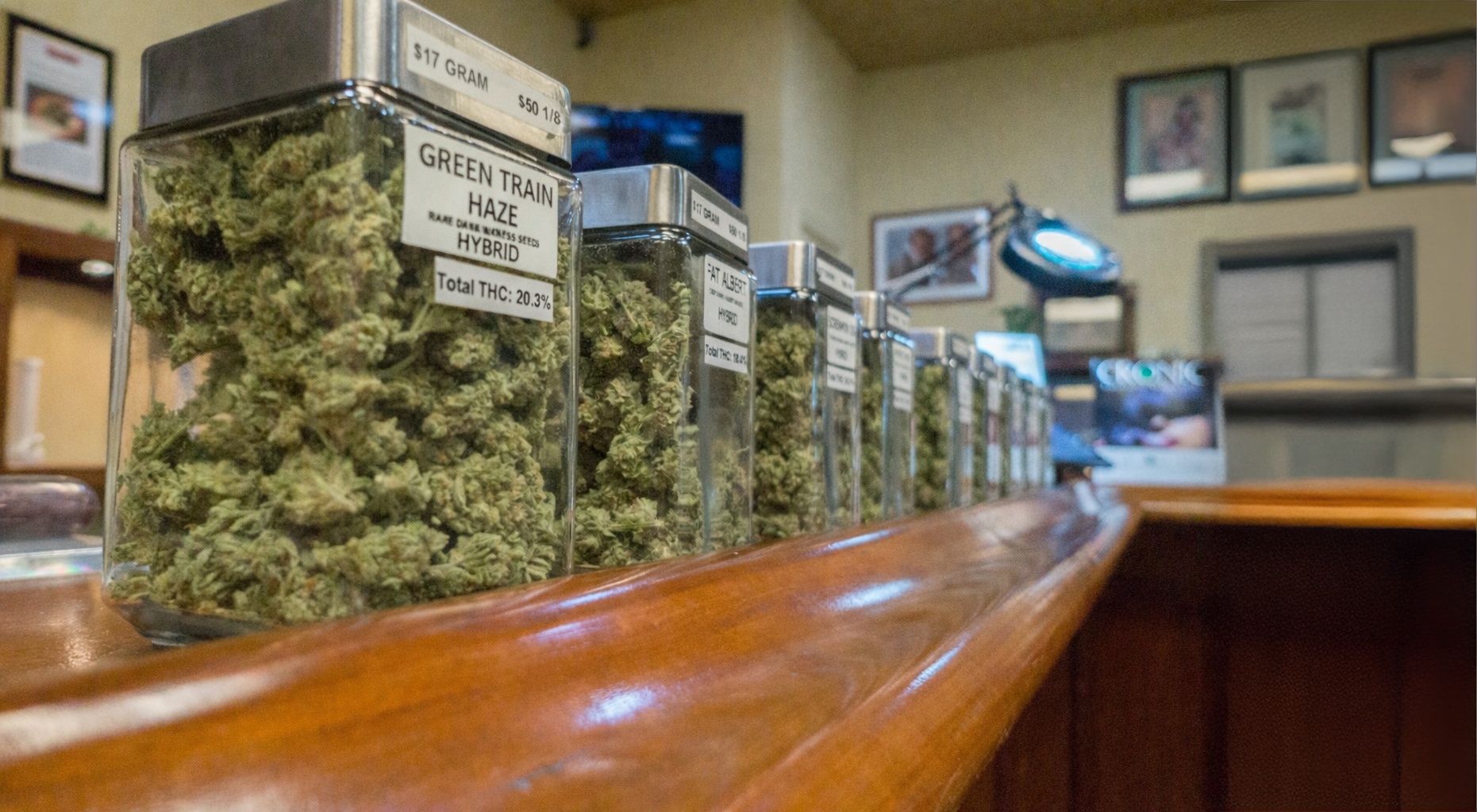 Row of glass jars with cannabis buds on a wooden counter in a shop, labeled Green Train Haze Hybrid and other strains behind a curved bar.