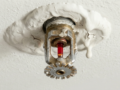Close-up of an exposed ceiling light socket with a missing bulb and visible wiring in rough plaster."],